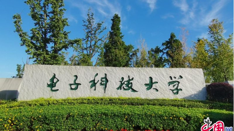 高HFE值三极管型号：揭秘其性能优势与选型逻辑