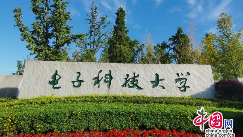 物联网芯片供应链：揭秘其背后的关键因素