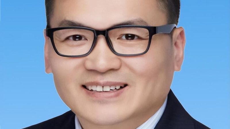 电子模块批发，报价背后的考量因素**